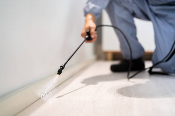 Licensed Cockroach Control service in Lansing, MI - Nex Pest Control