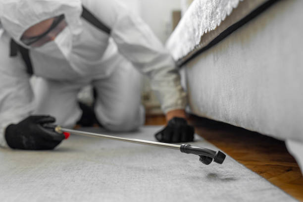 Professional Cockroach Control technician working in Lansing, MI