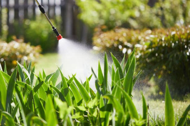 24/7 Emergency Cockroach Control experts in Lansing, MI