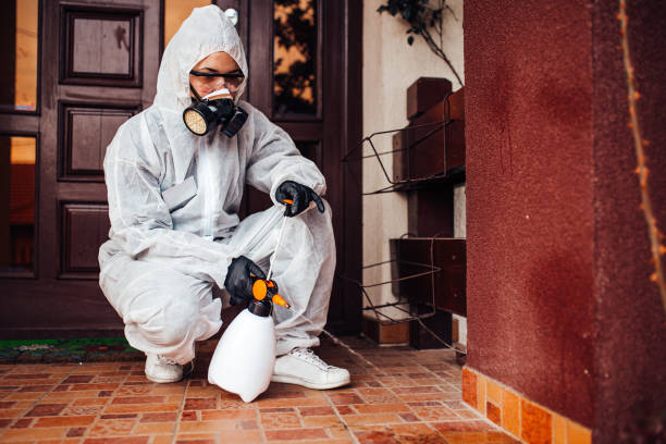 Reliable Cockroach Control contractor in Lansing, MI by Nex Pest Control