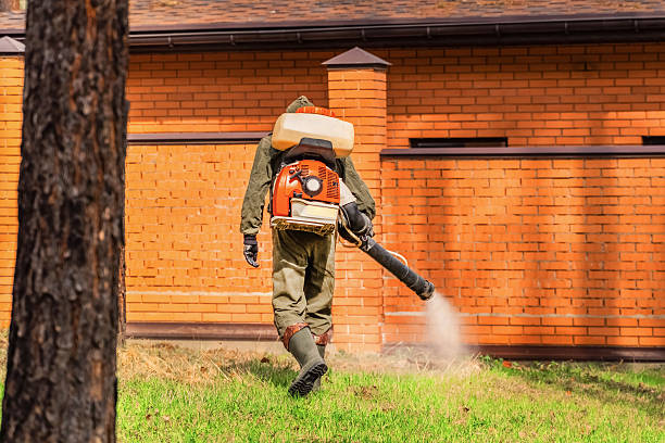 Trusted Cockroach Control service in Lansing, MI - Nex Pest Control